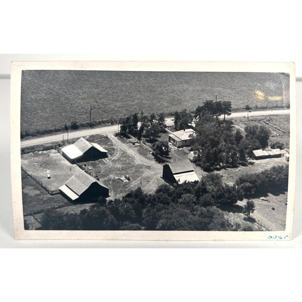 Vtg Kodak RPCC Farm Photo PostCard Aerial Country Landscape 1950s Barn Animals